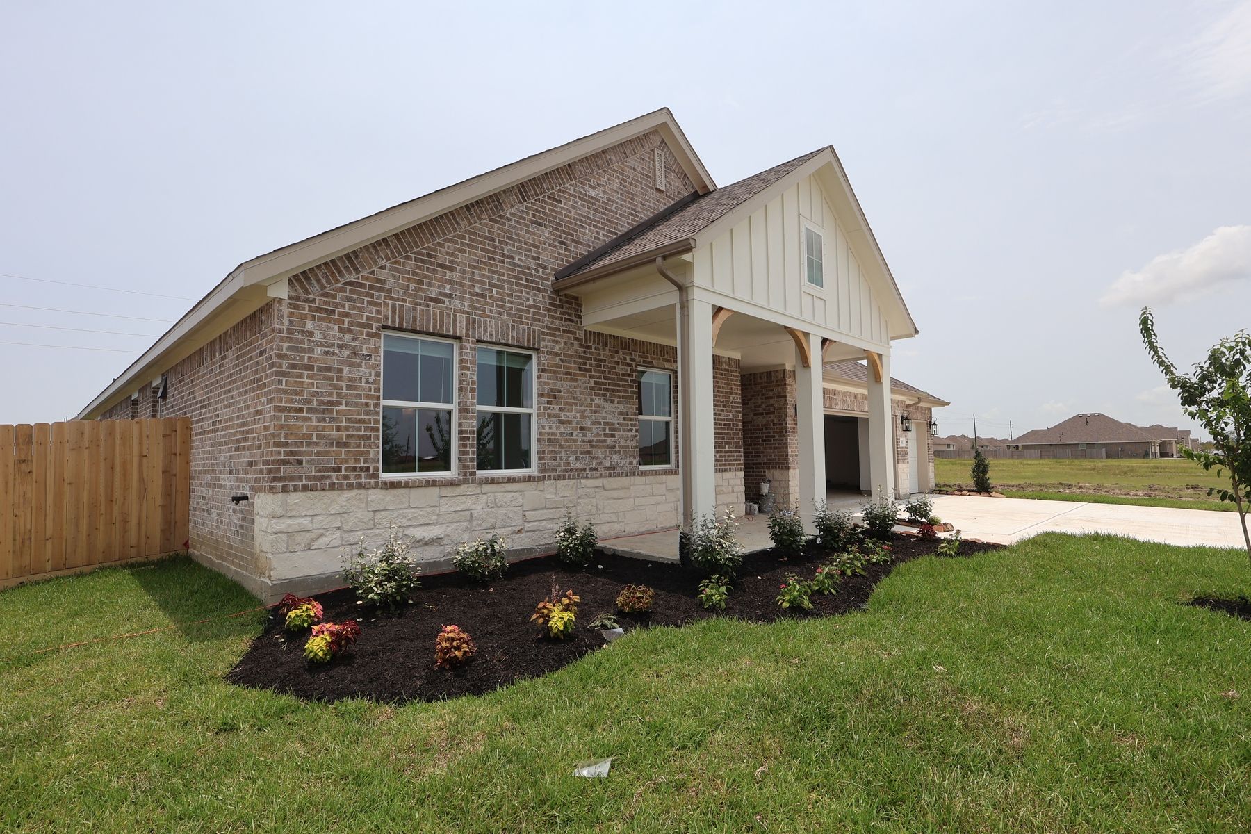 Backyard - June 25, 2026