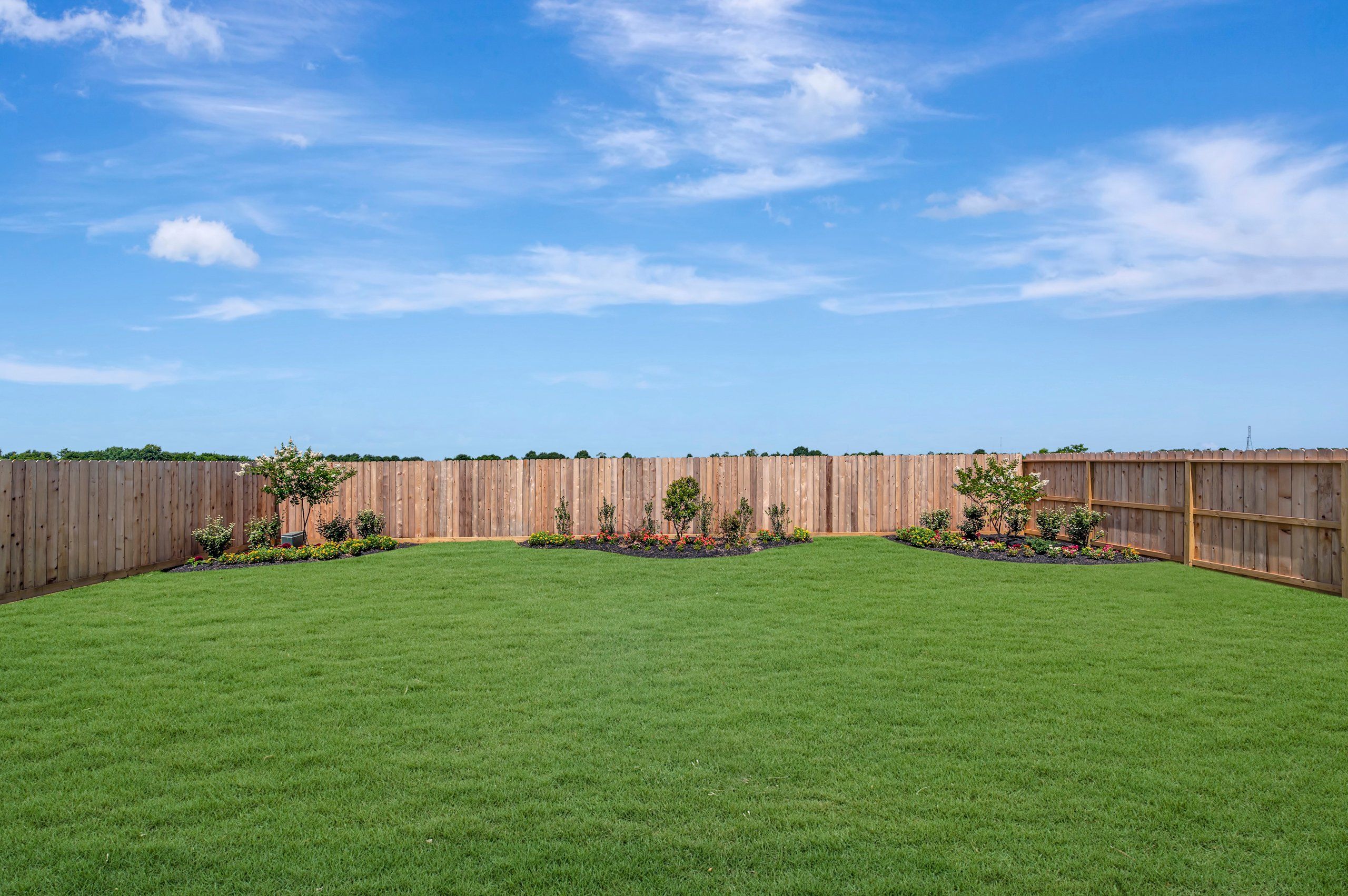 Backyard - June 30, 2026