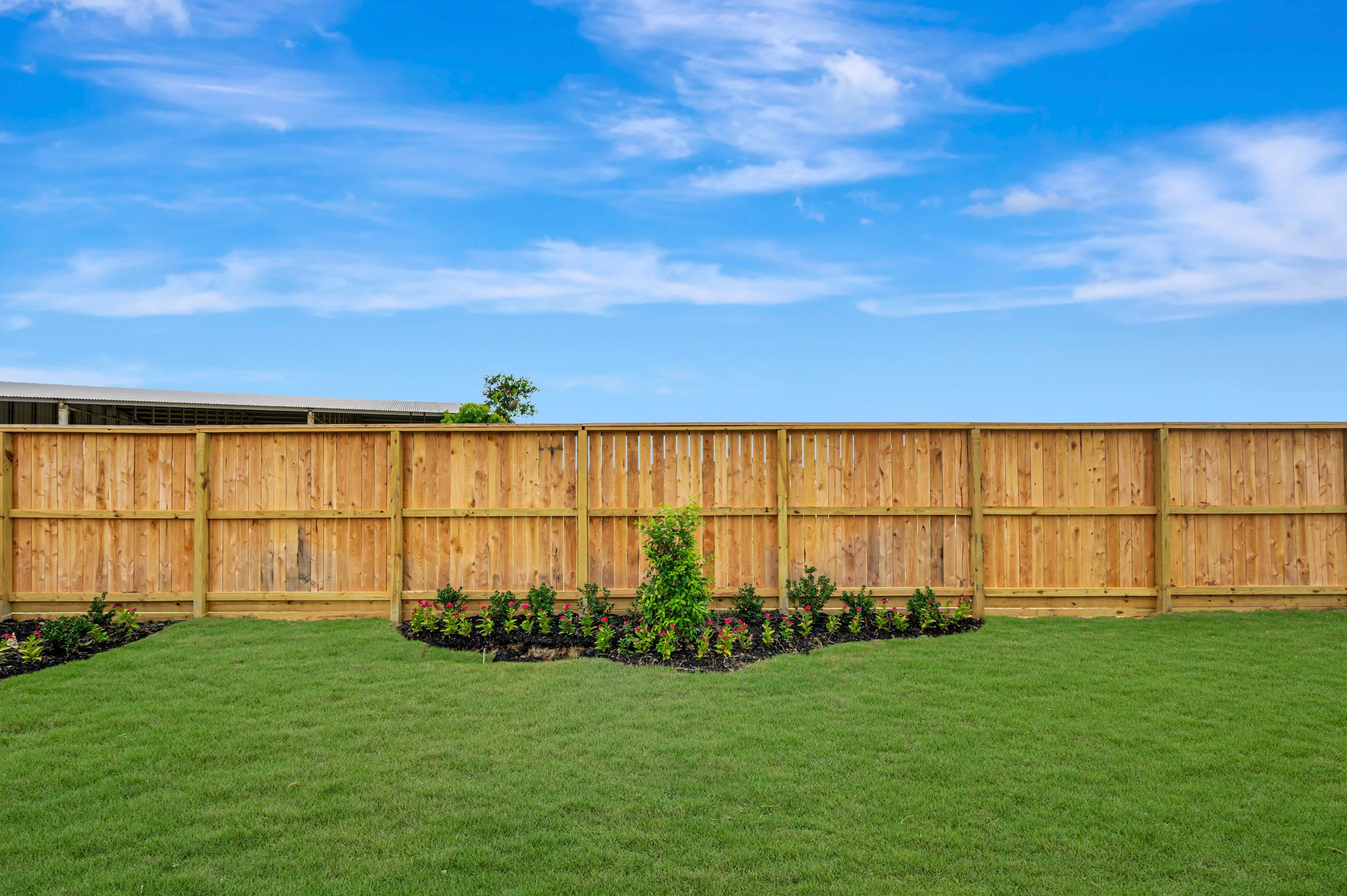 Backyard - July 1, 2026