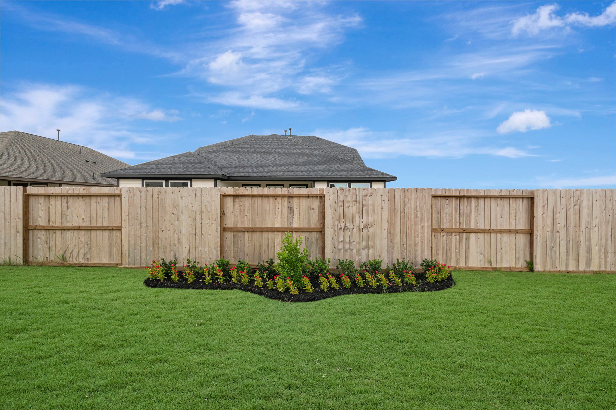 Backyard - July 1, 2026
