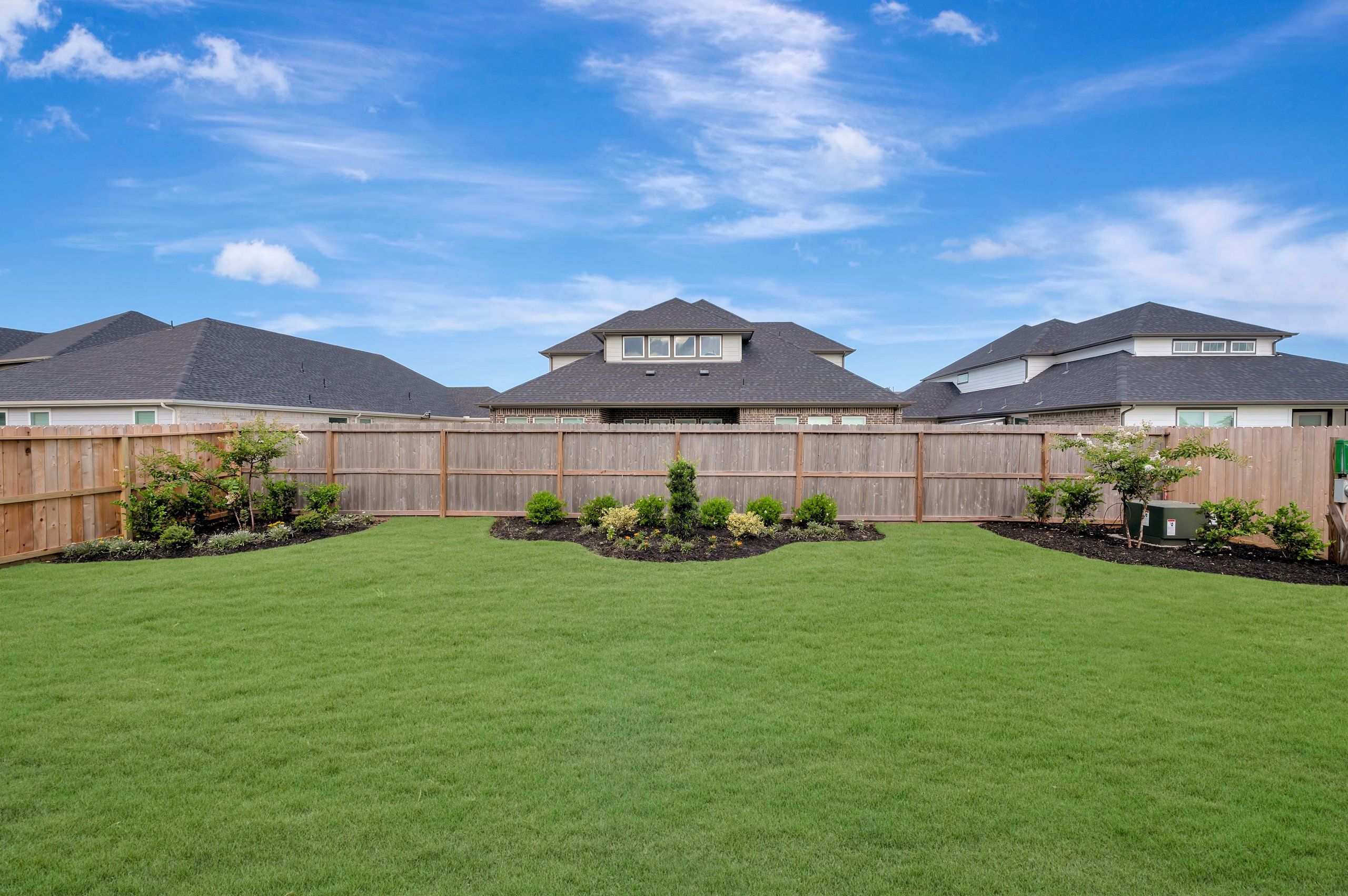 Backyard - July 6, 2026