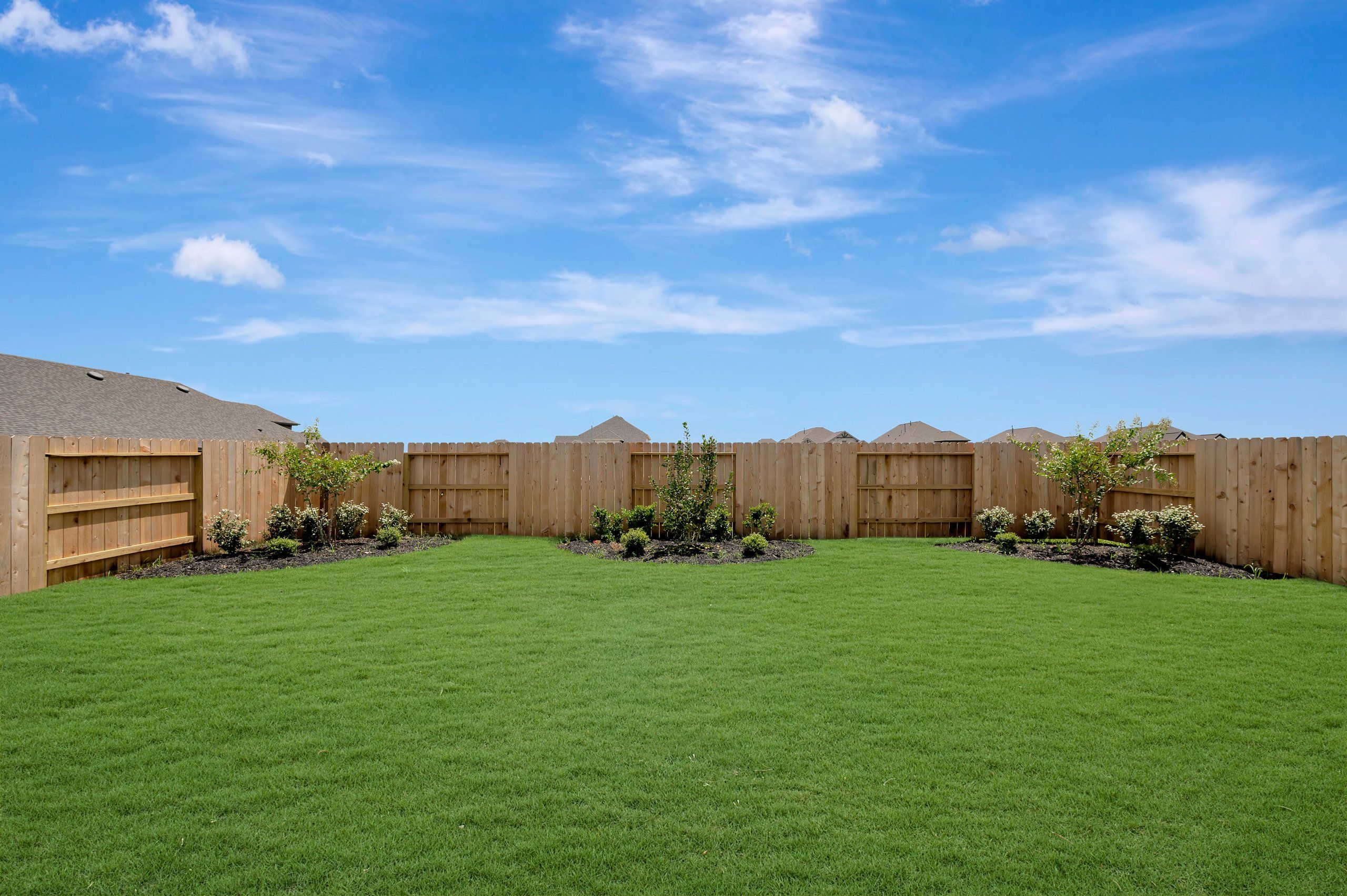 Backyard - July 8, 2026