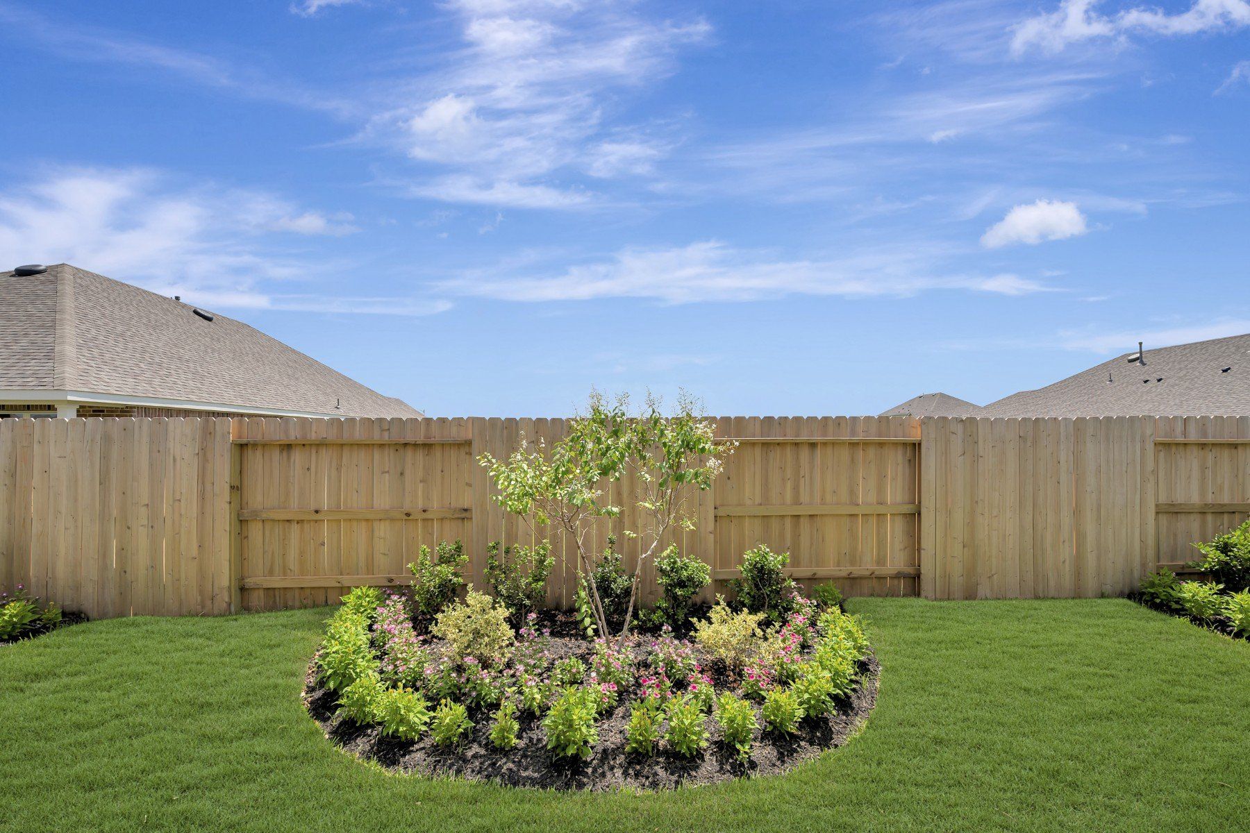 Backyard - July 8, 2026