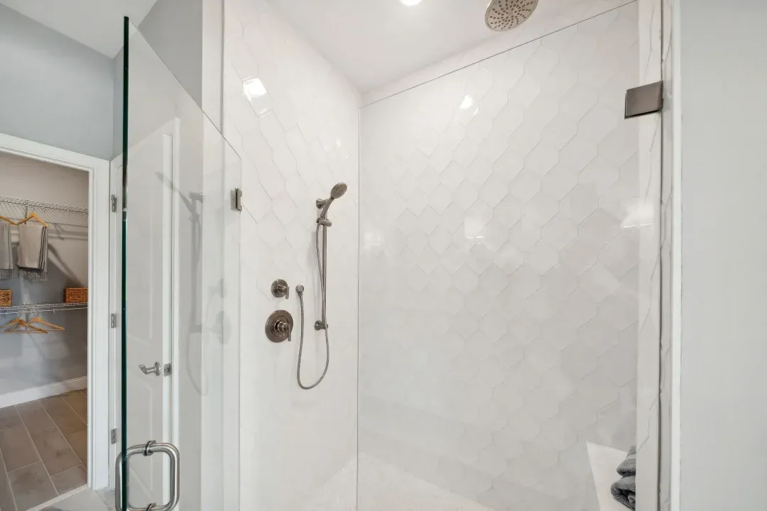 Primary bath shower with glass door