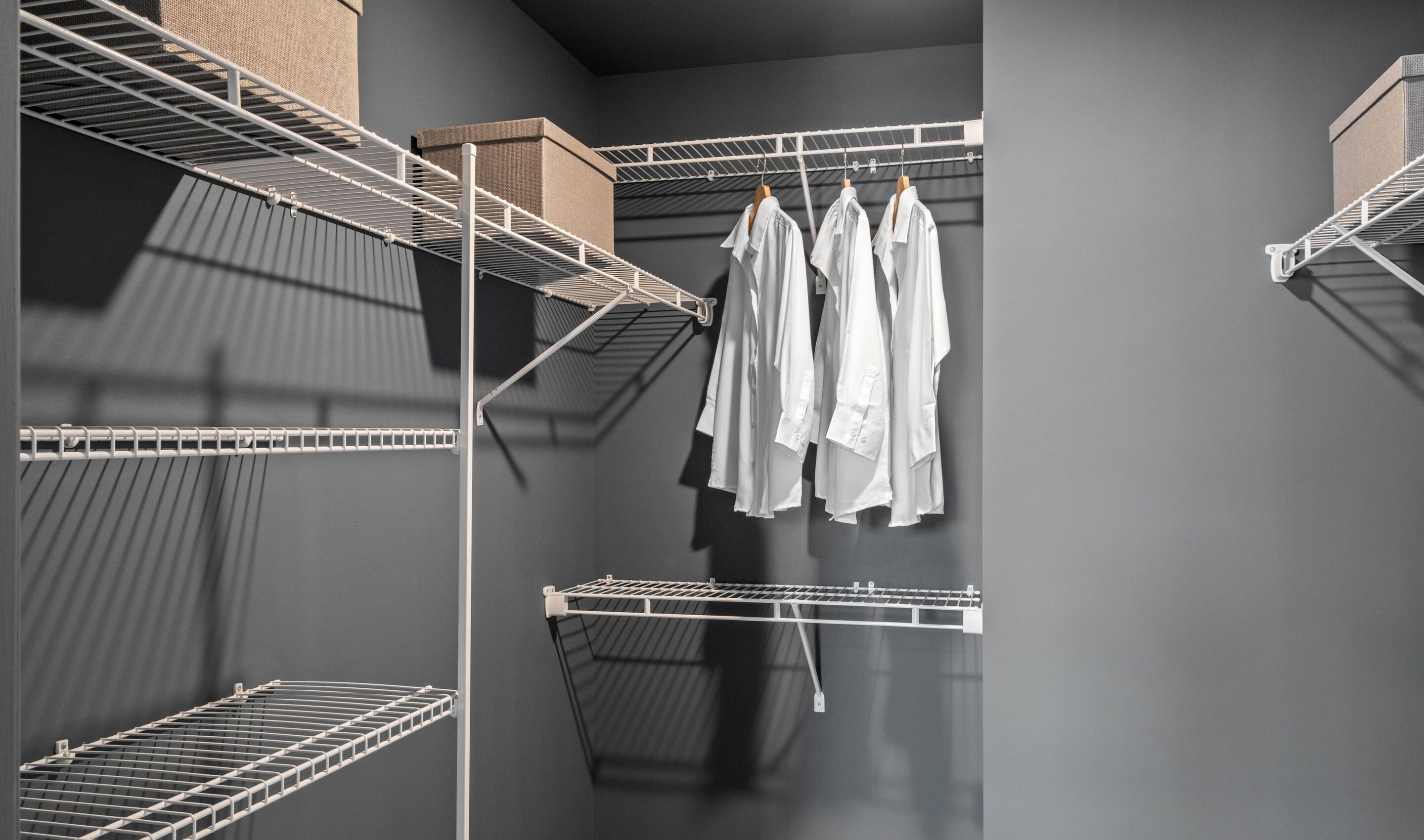Primary Walk-In Closet