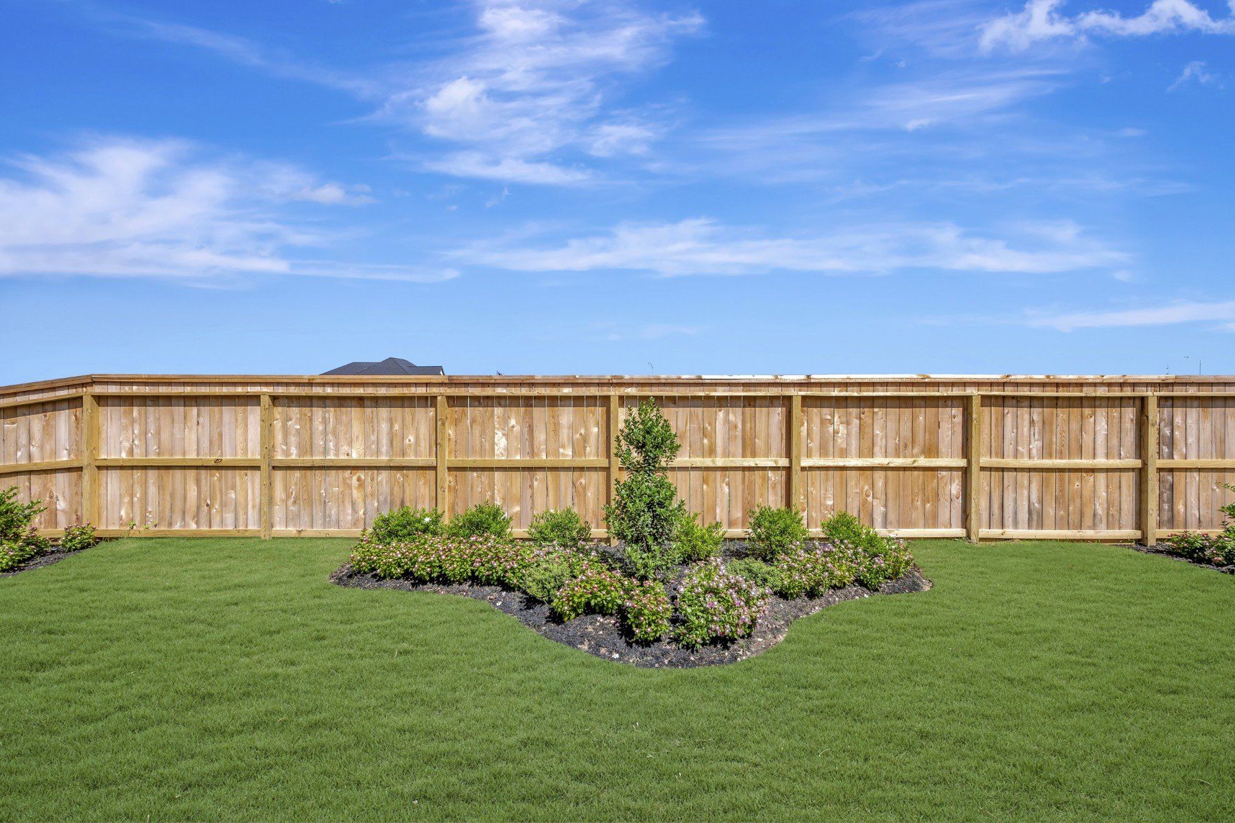 Backyard - July 20, 2026