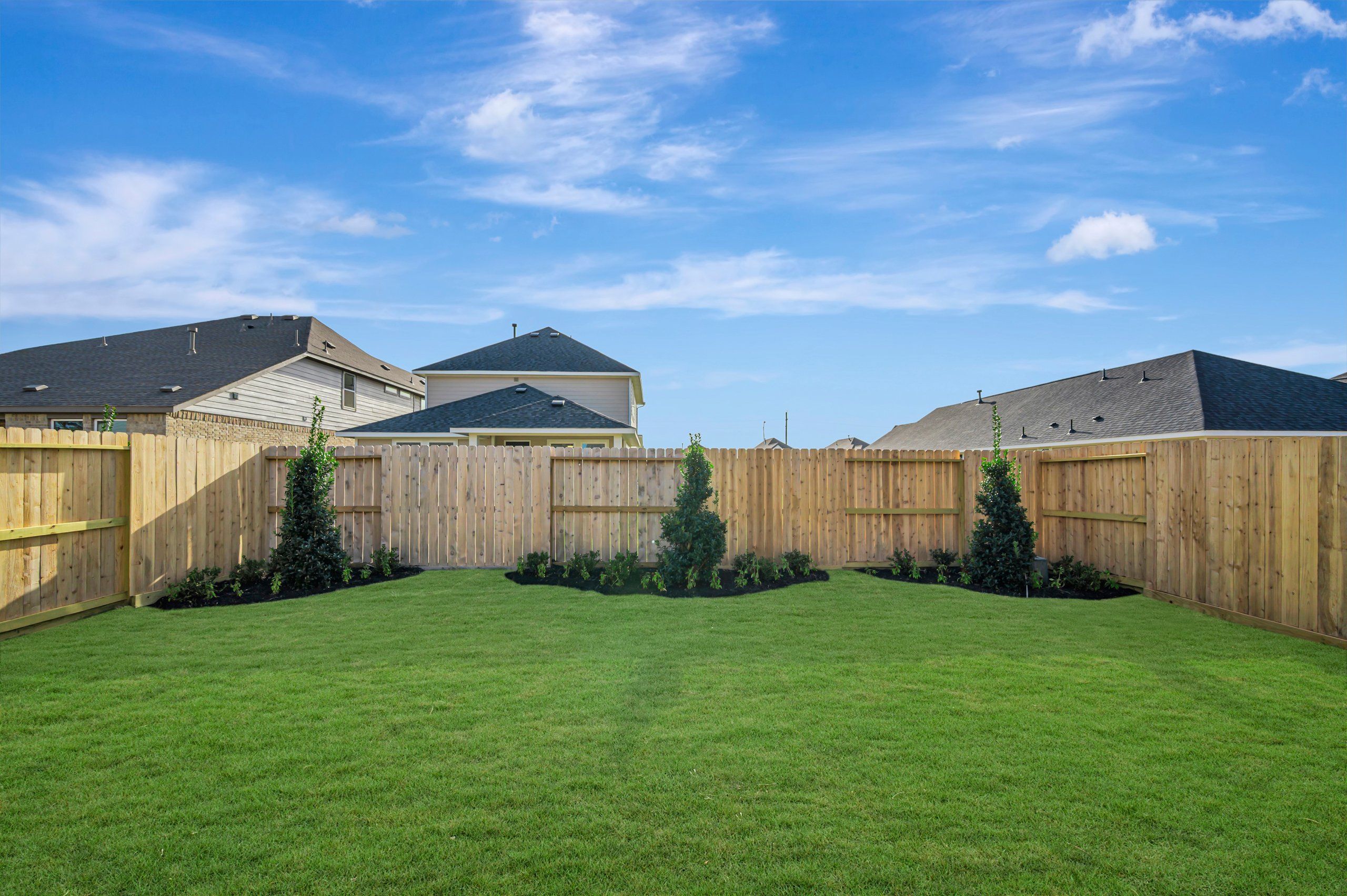 Backyard - July 18, 2026