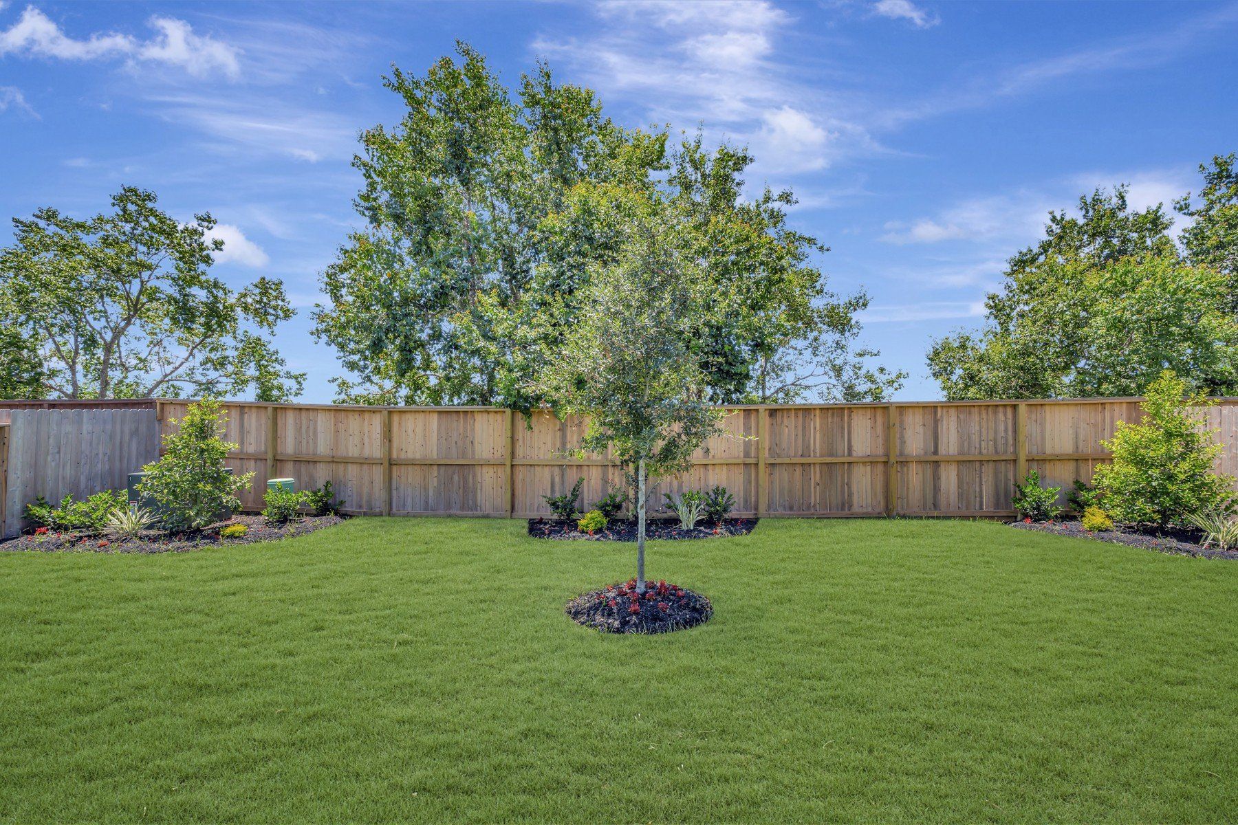 Backyard - July 21, 2026