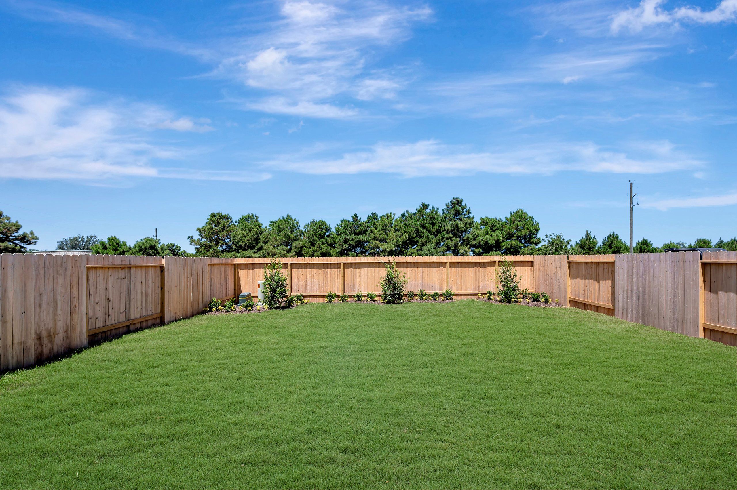 Backyard - July 21, 2026