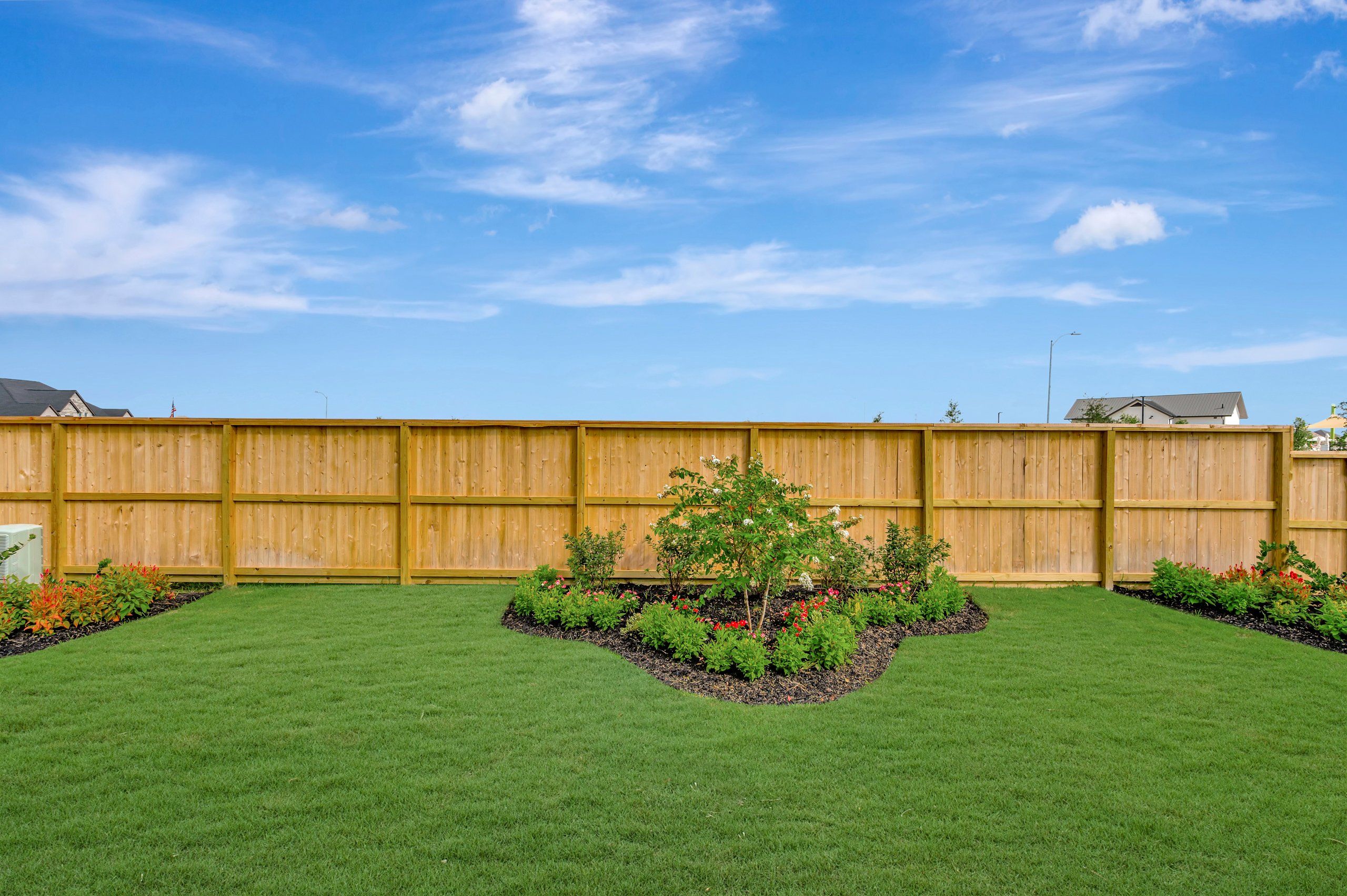 Backyard - July 28, 2026