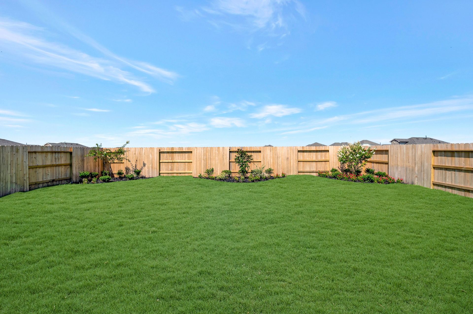 Backyard - August 3, 2026