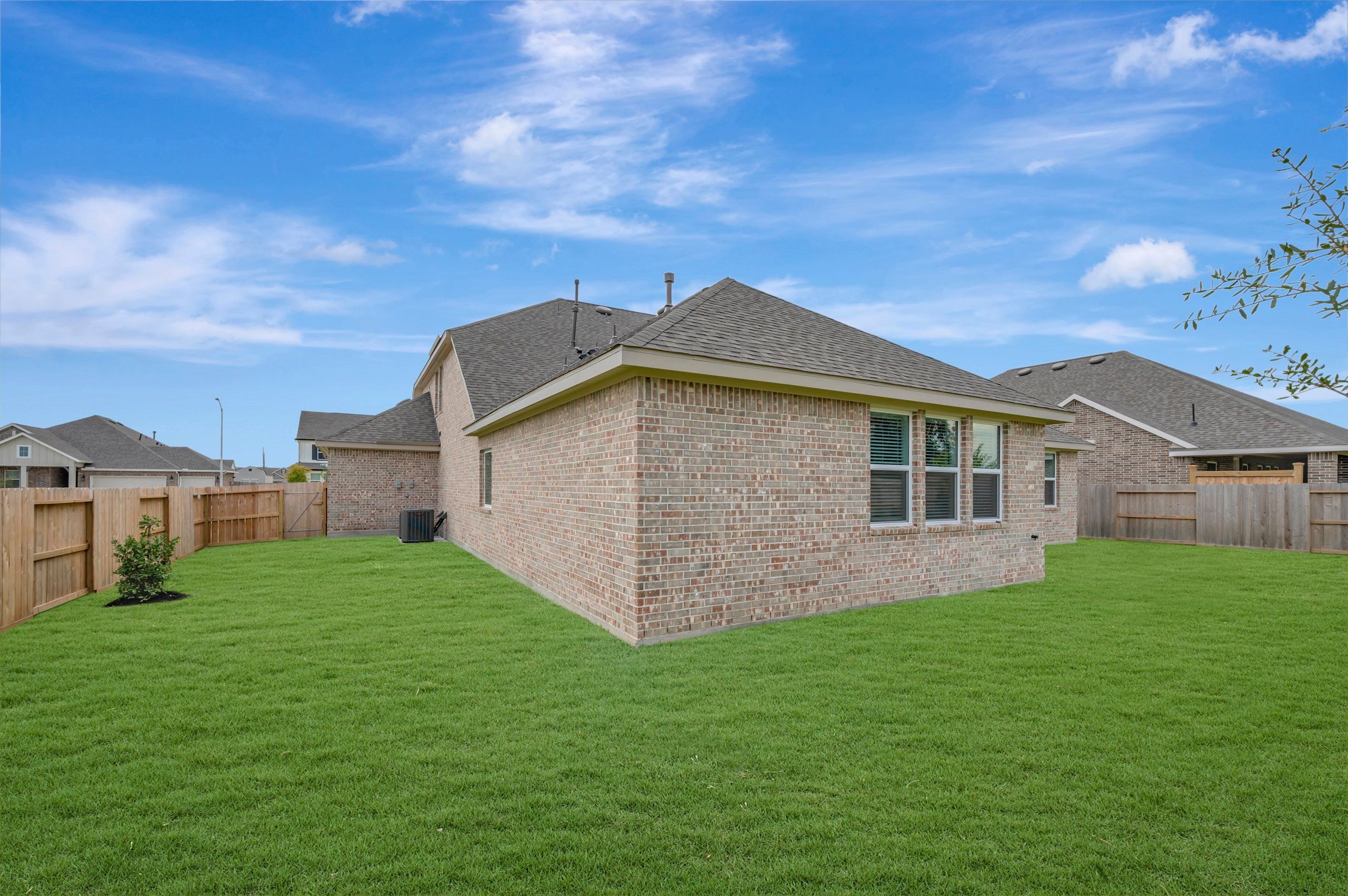 Backyard - August 3, 2026