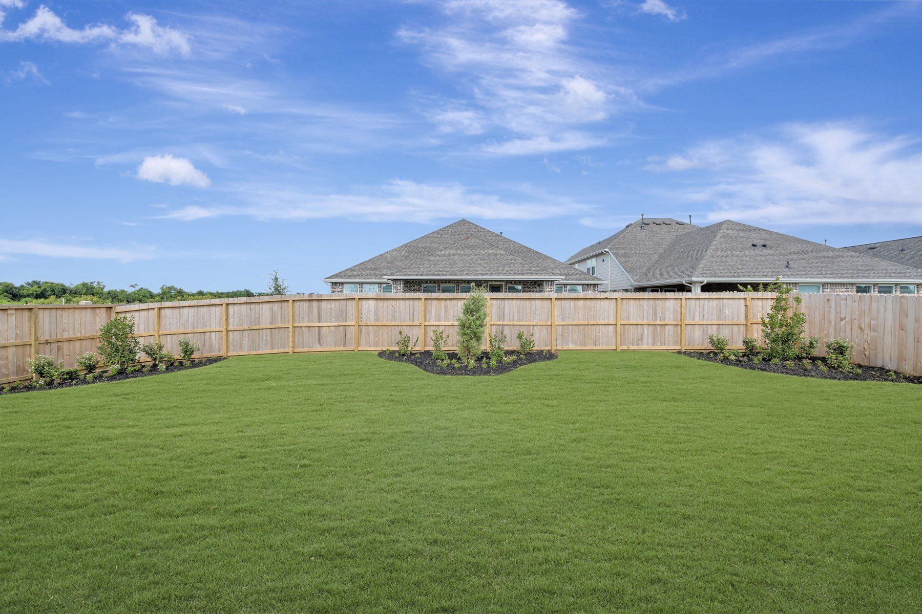Backyard - June 30, 2026
