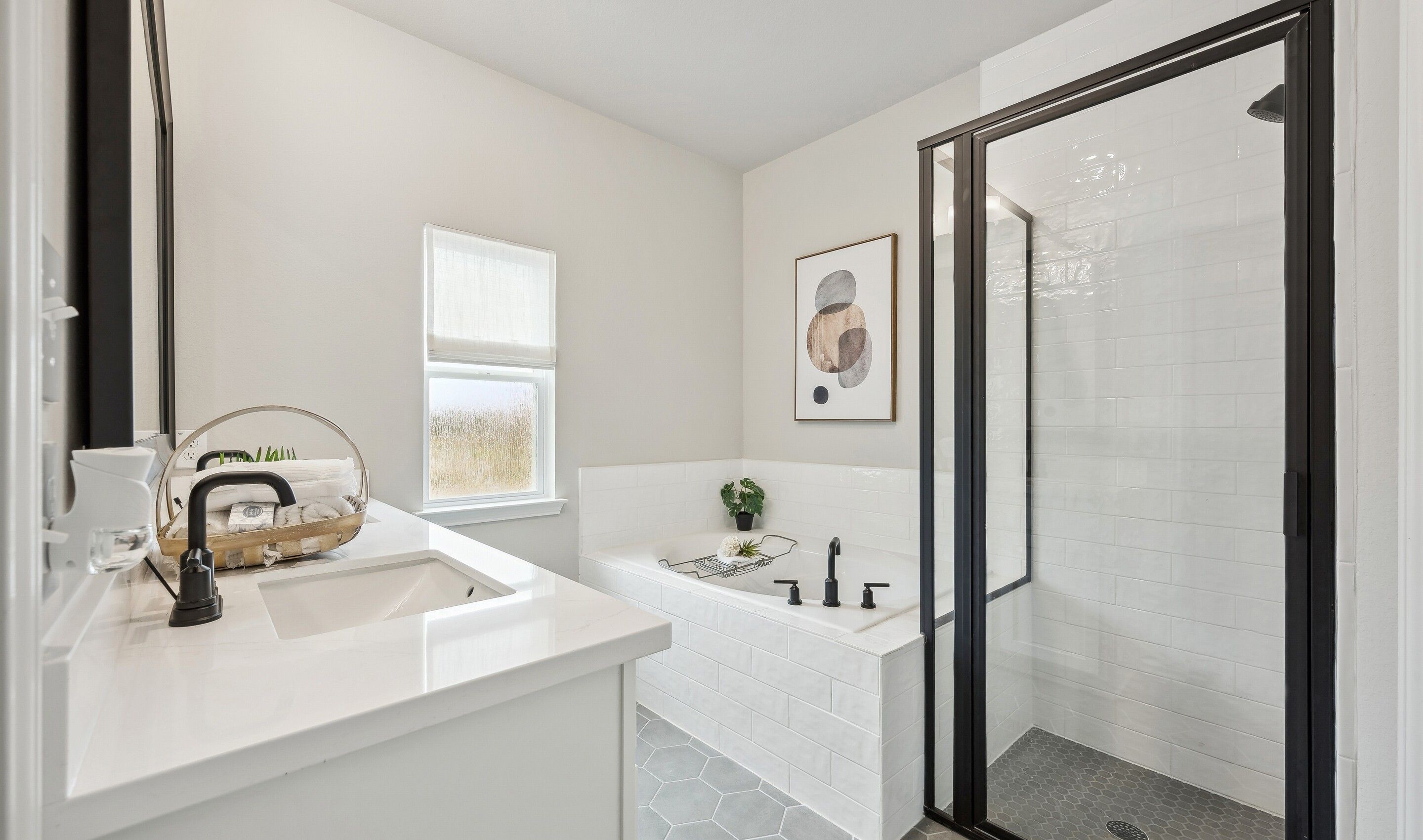 Owner's Bath
