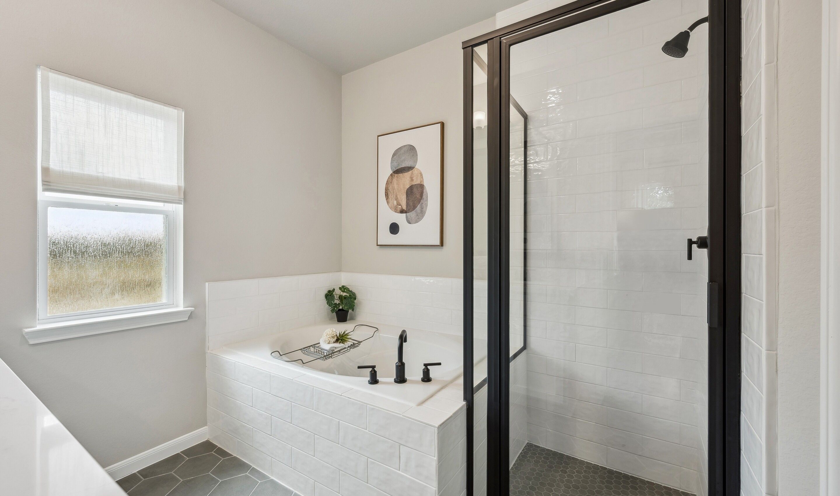 Owner's Bath