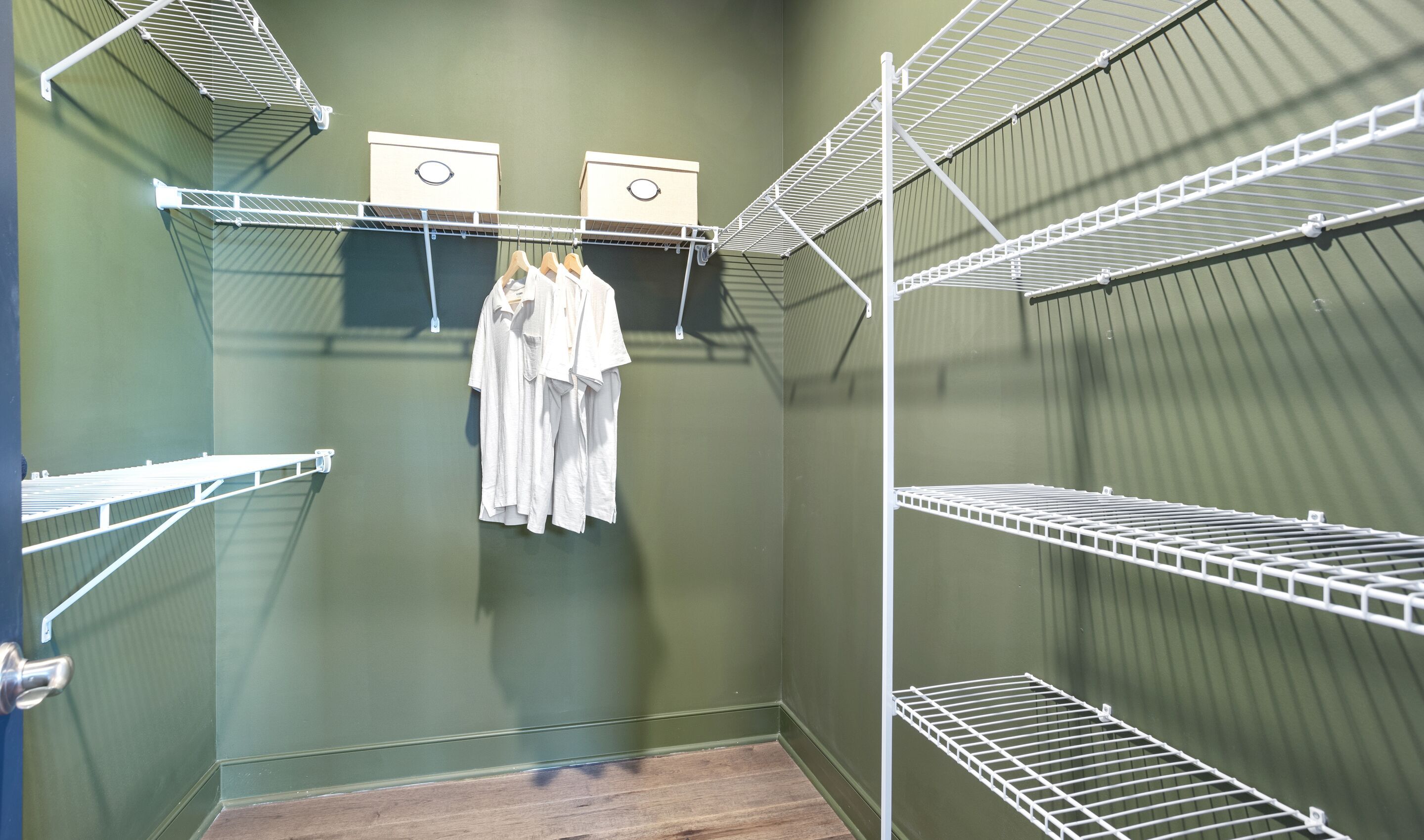 Primary Walk-In Closet