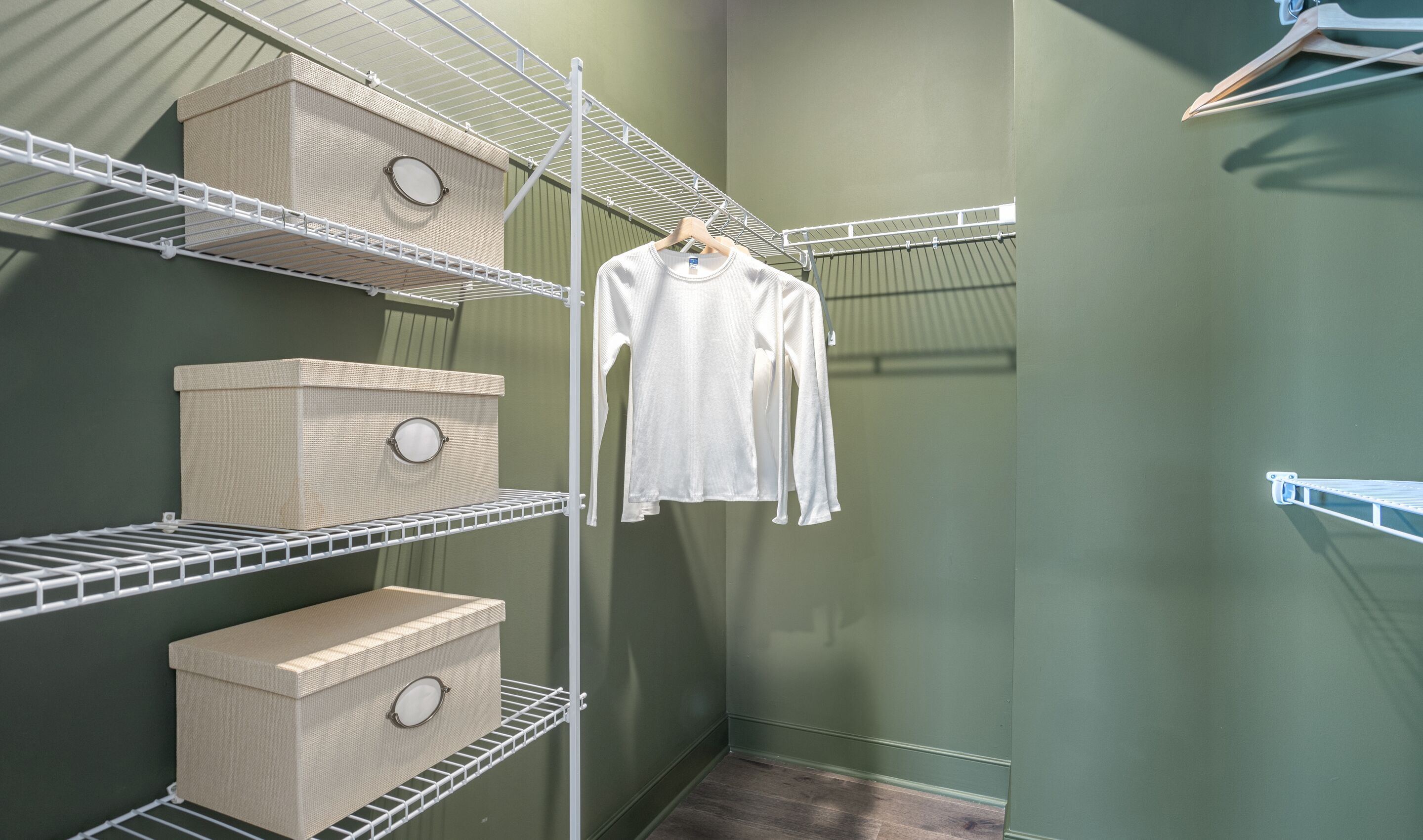 Primary Walk-In Closet