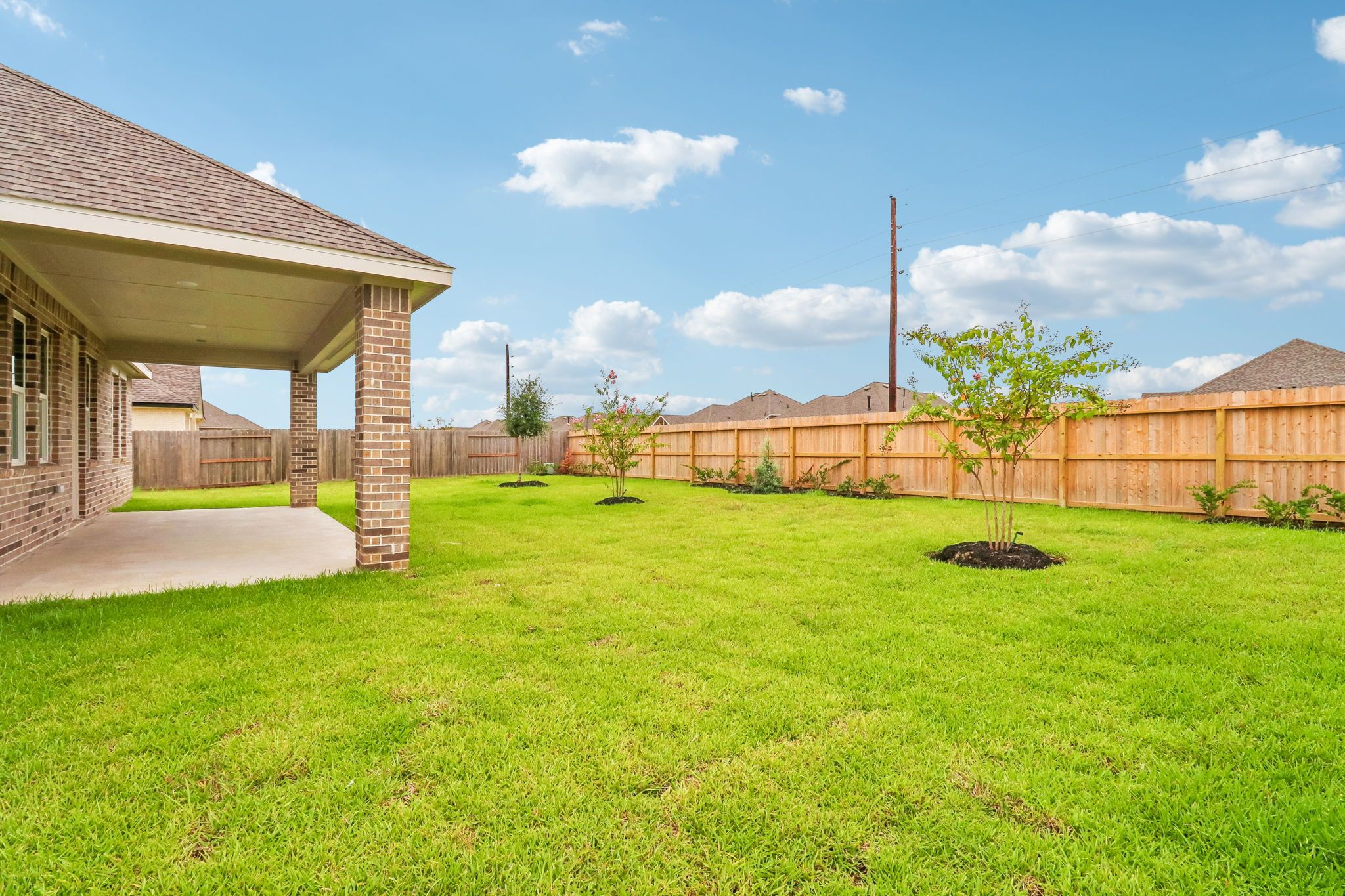 Backyard
