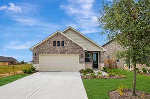 23635 Gulf Prairie Dr (Scotch Pine)