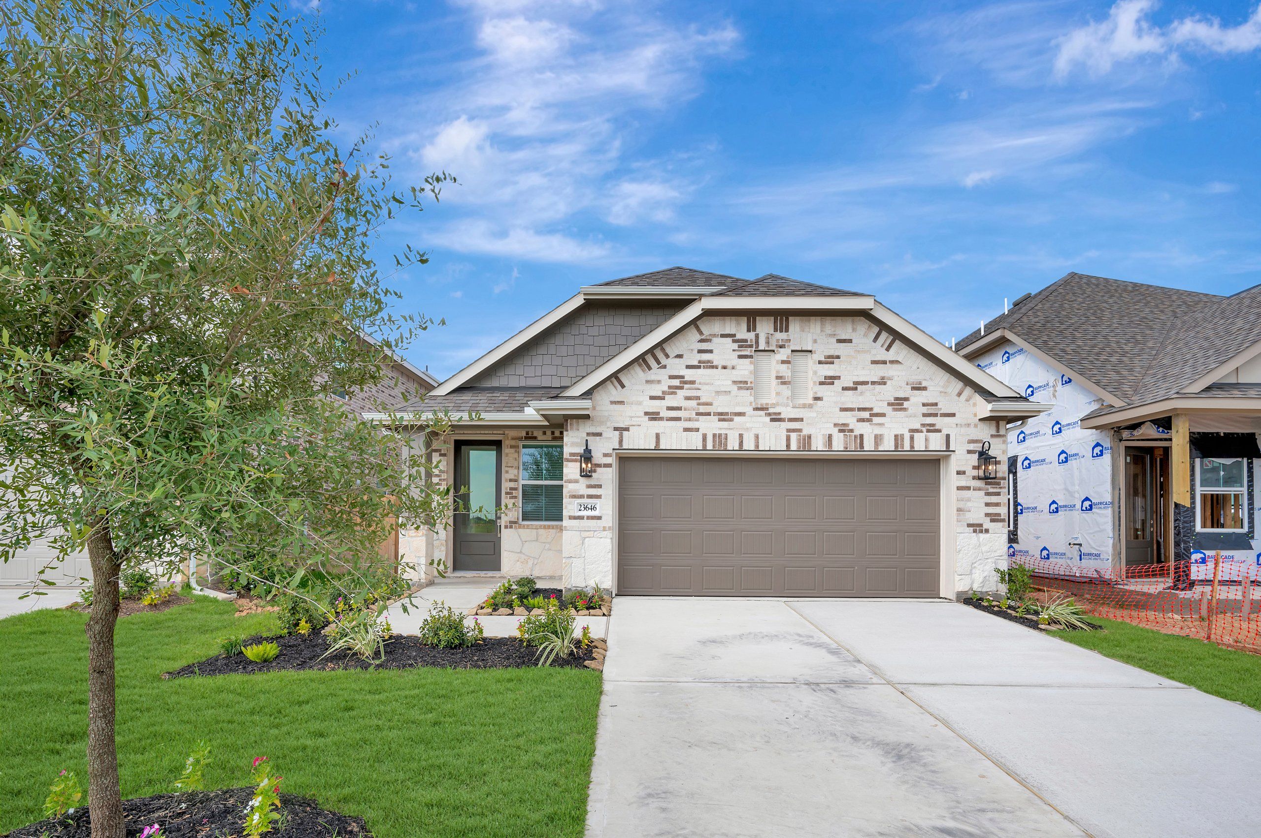Scotch Pine - Bergamo: Katy, Texas - K. Hovnanian® Homes