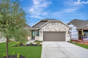 23646 Gulf Prairie Dr (Scotch Pine)