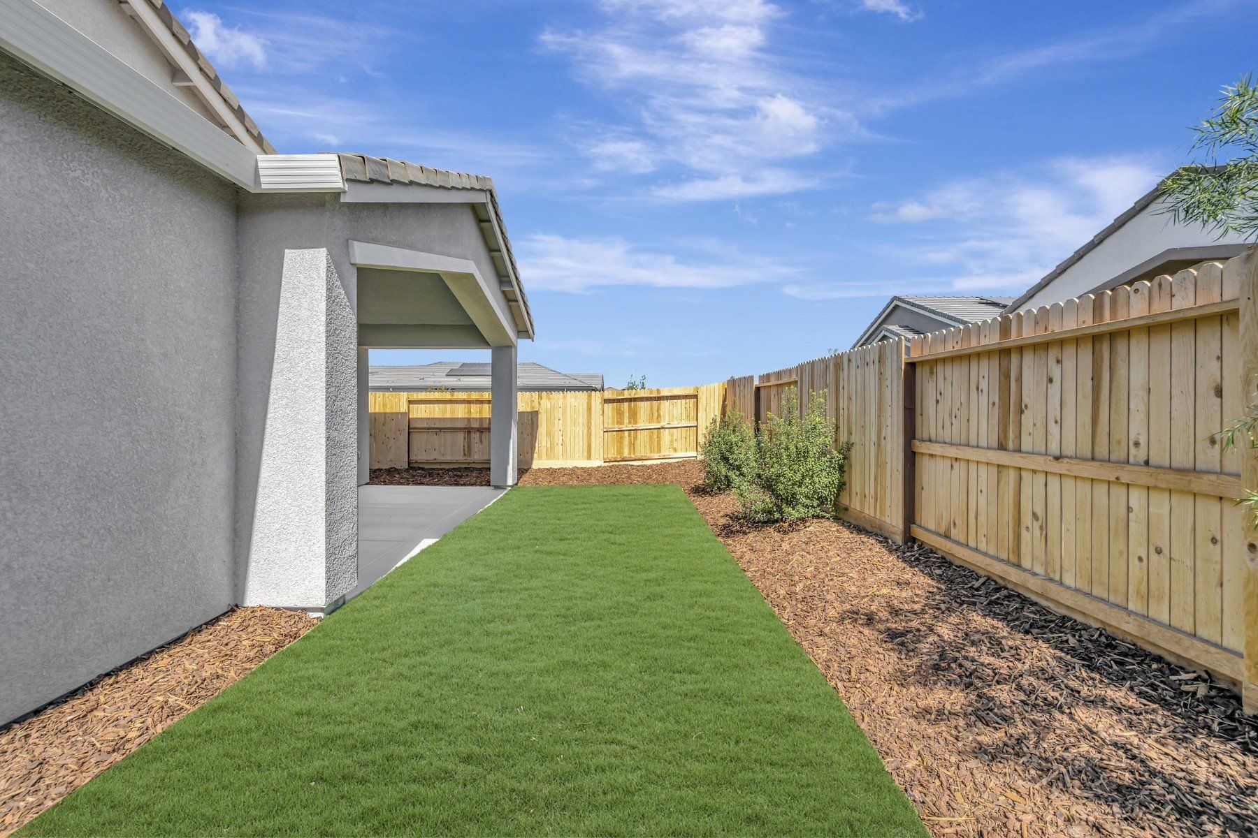 Backyard - September 29, 2026