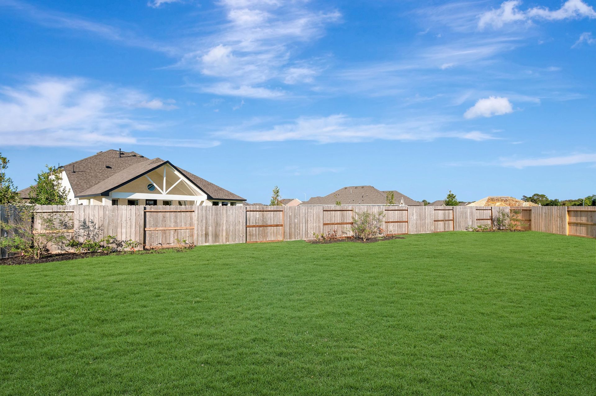 Backyard - October 13, 2026