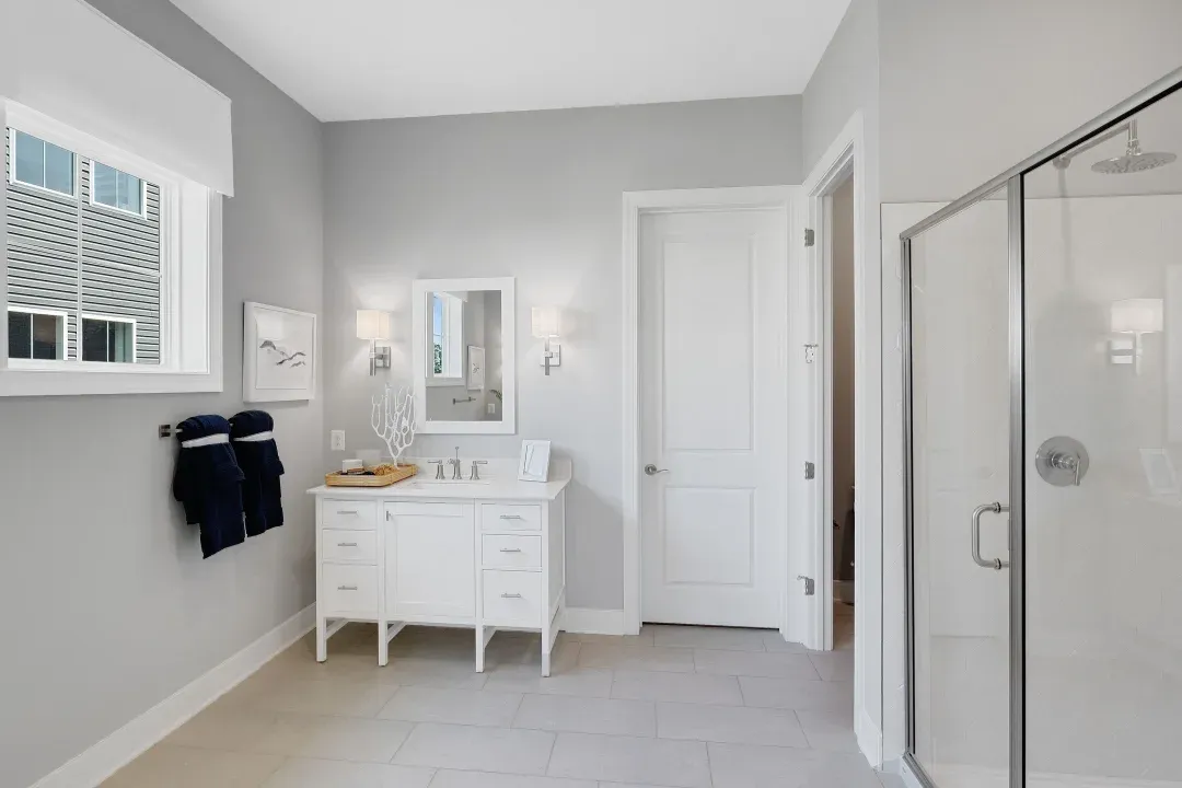 Primary bath vanity and shower
