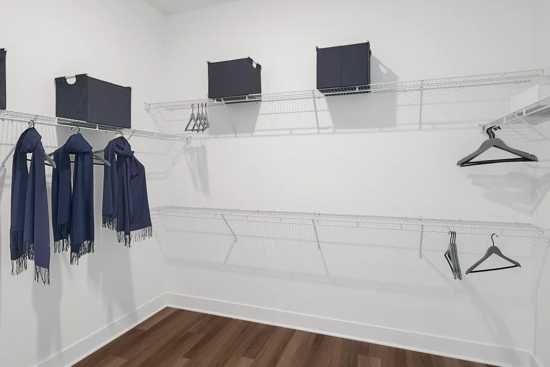 Primary Walk-In Closet