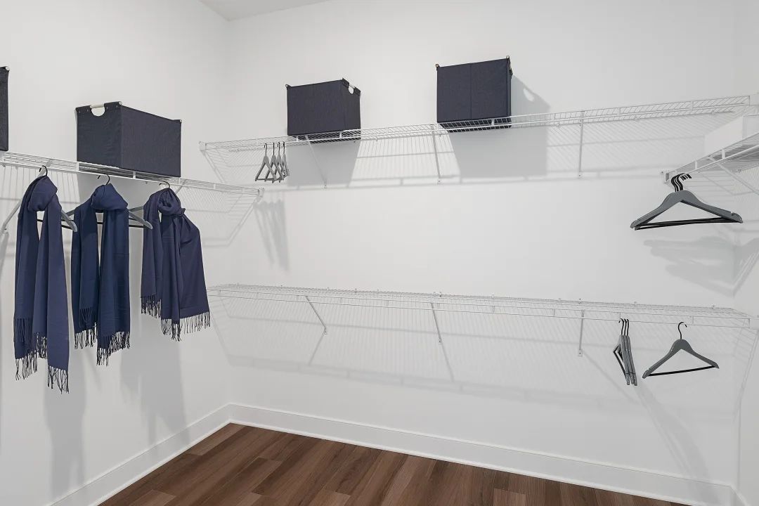 Primary Walk-In Closet