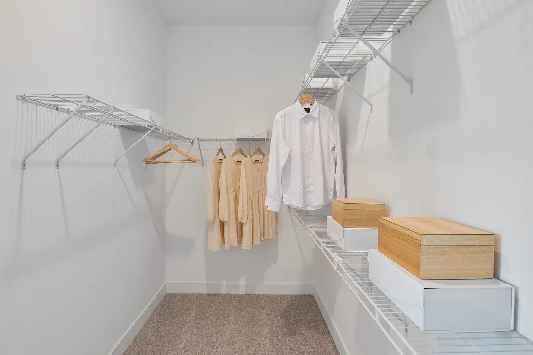 Primary Walk-In closet