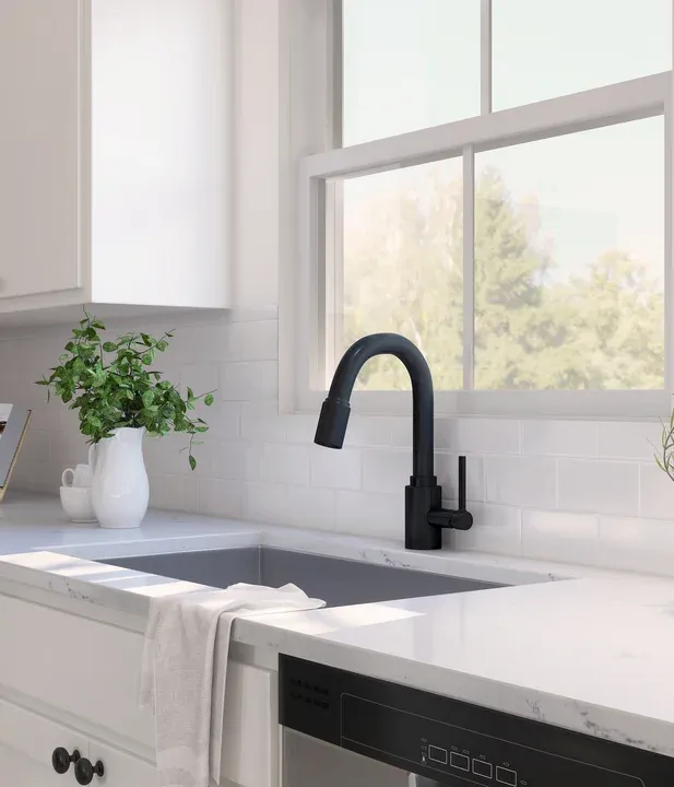 Kitchen with matte black faucet