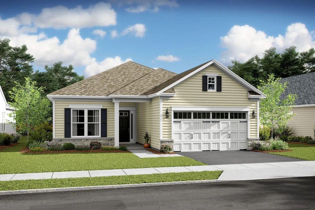 Ibiza D5-Artist Rendering