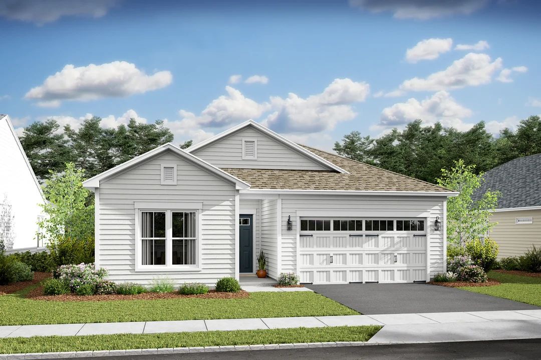 Palmera II D-Artist Rendering