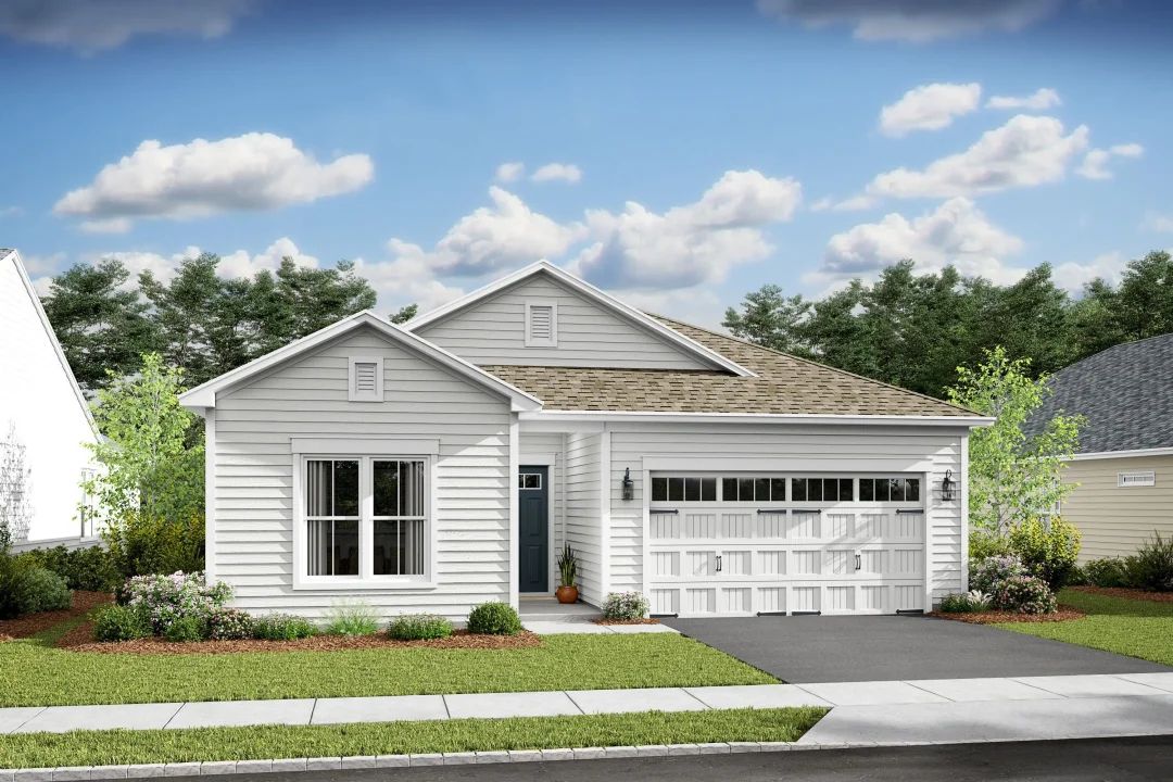 Palmera II D-Artist Rendering