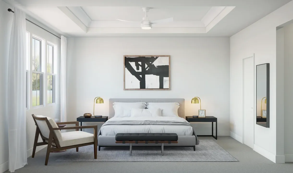 Primary suite with tray ceiling and crown moulding