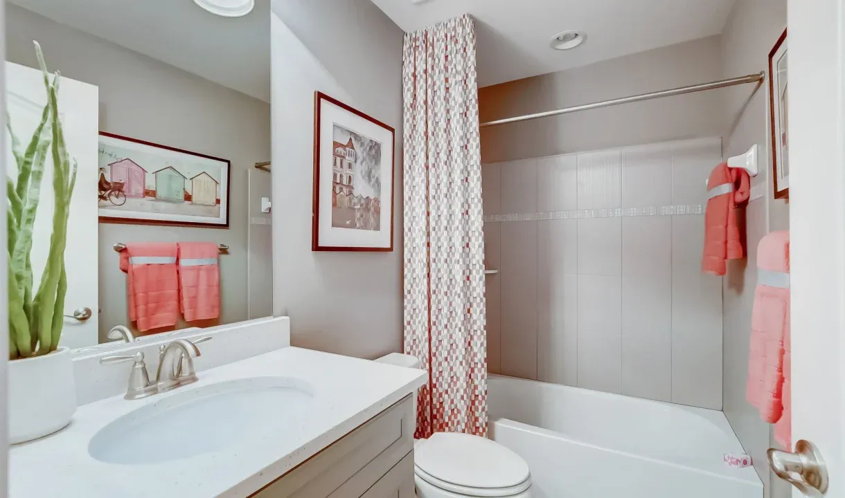 Basement Bath
