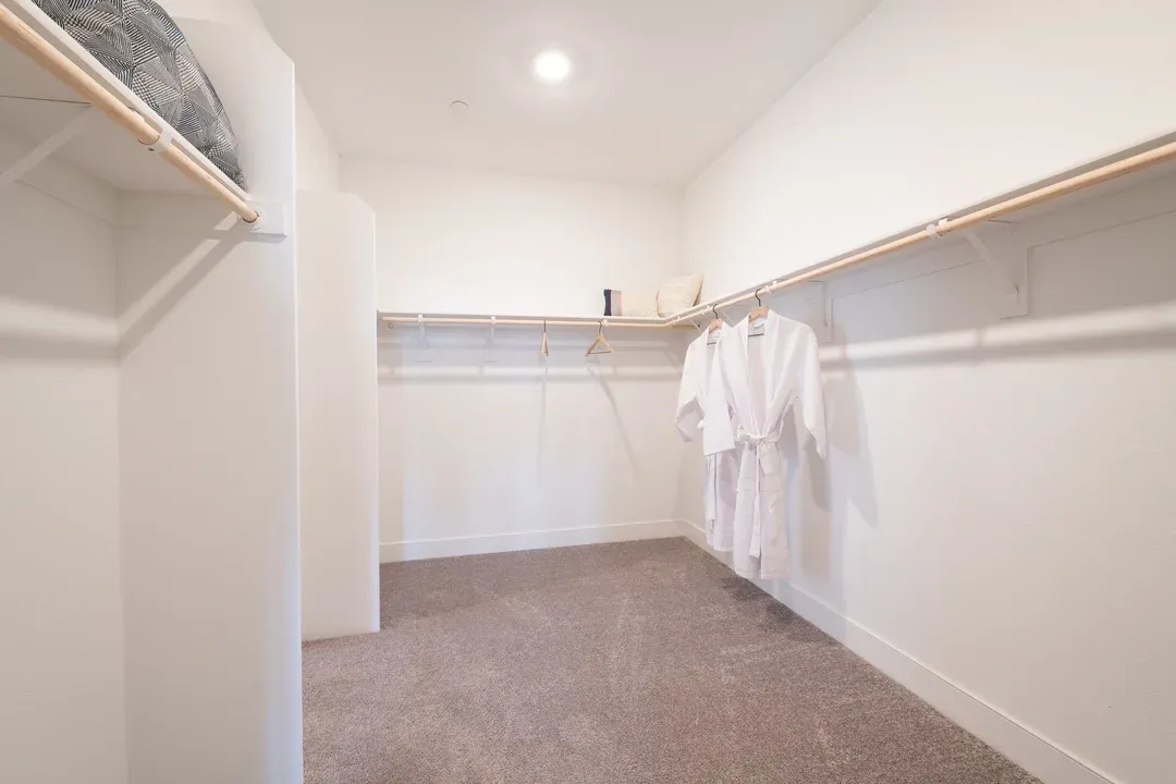 Owner's Walk-In Closet