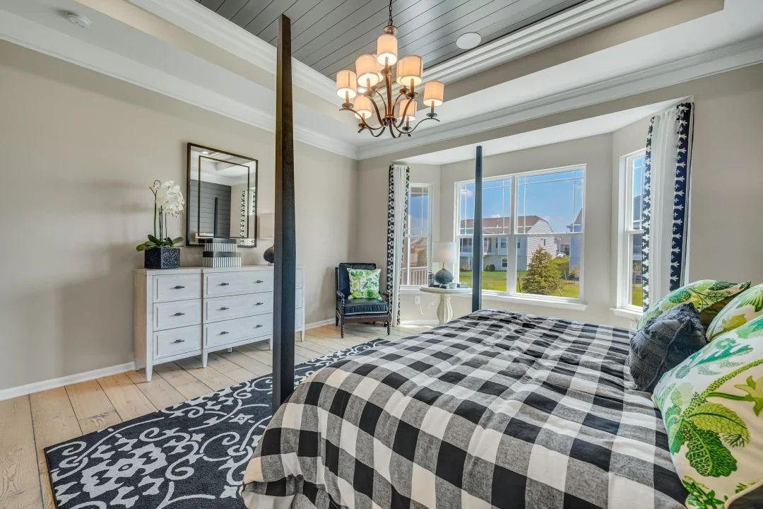 Primary suite with tray ceiling