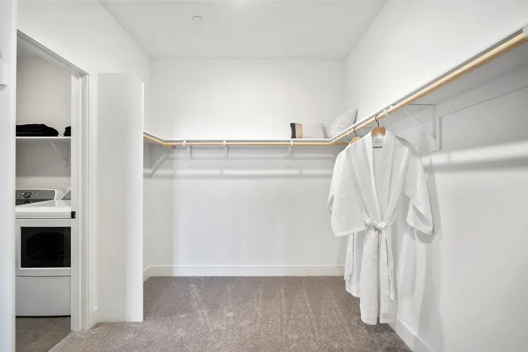 Owner's Primary Walk-In Closet