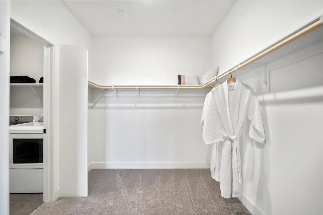 Owner's Primary Walk-In Closet