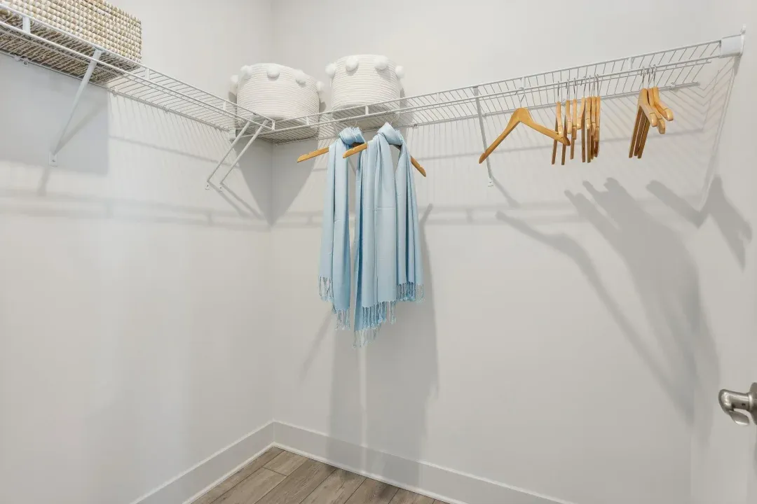 Primary Walk-In Closet