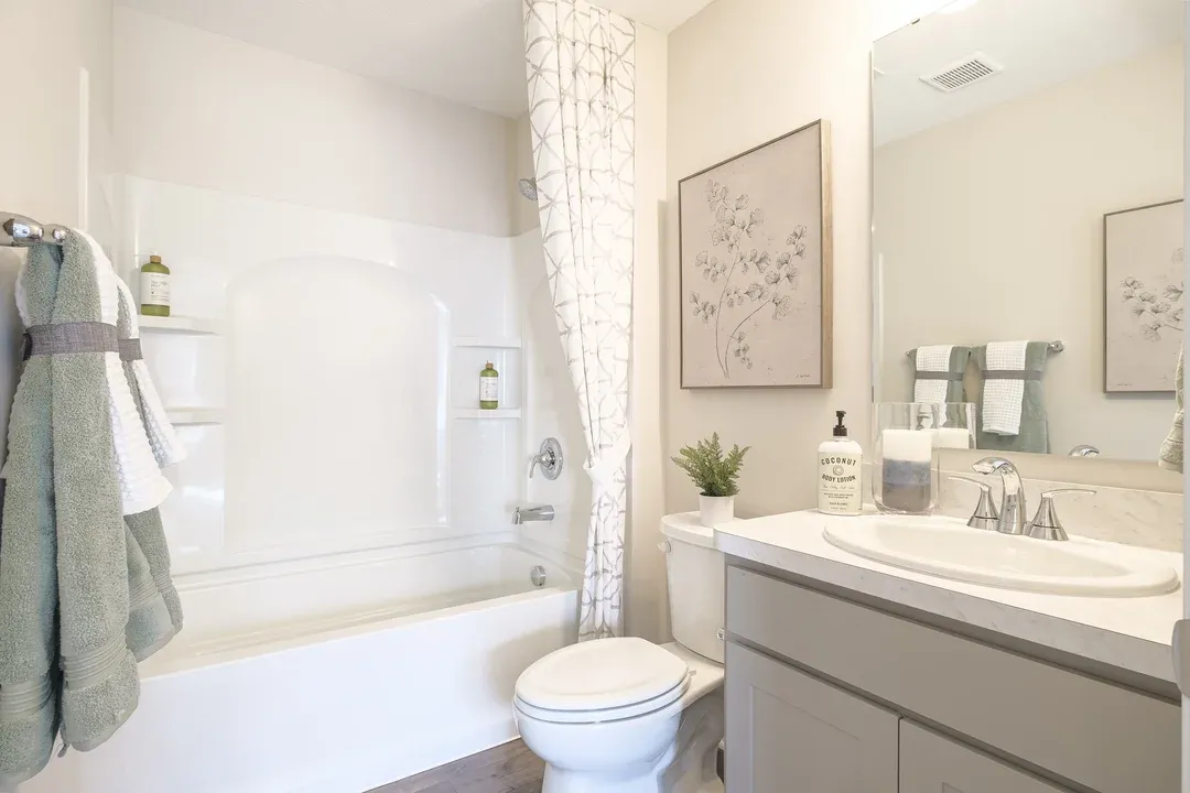 Owner's Bath