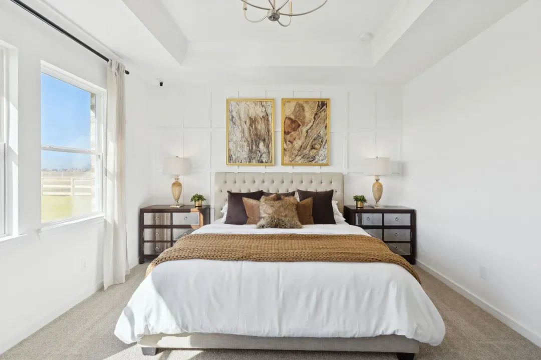 Primary suite with tray ceiling and crown moulding