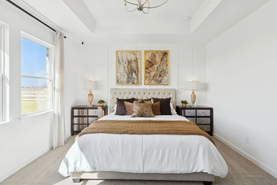 Primary suite with tray ceiling and crown moulding
