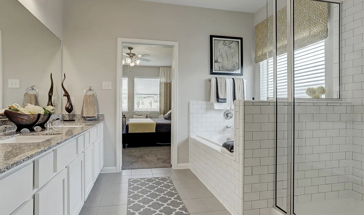 Owner's Bath