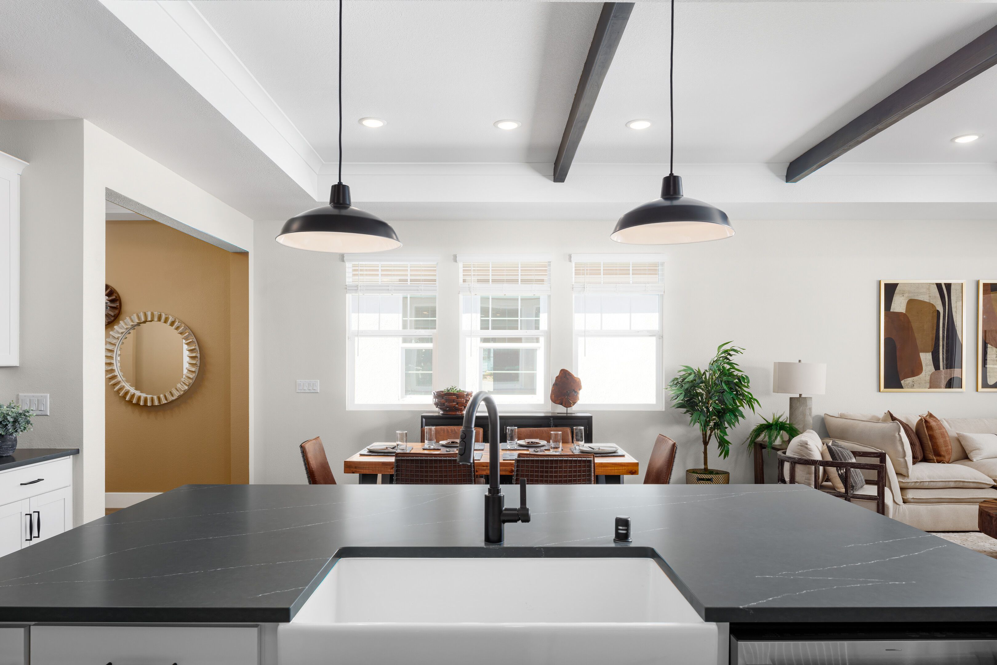 Matte black fixtures, pendant lighting and white apron-front sink