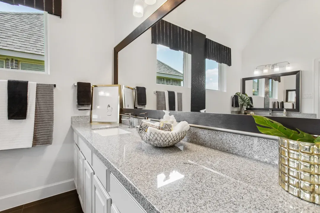 Owner's Luxury Bath