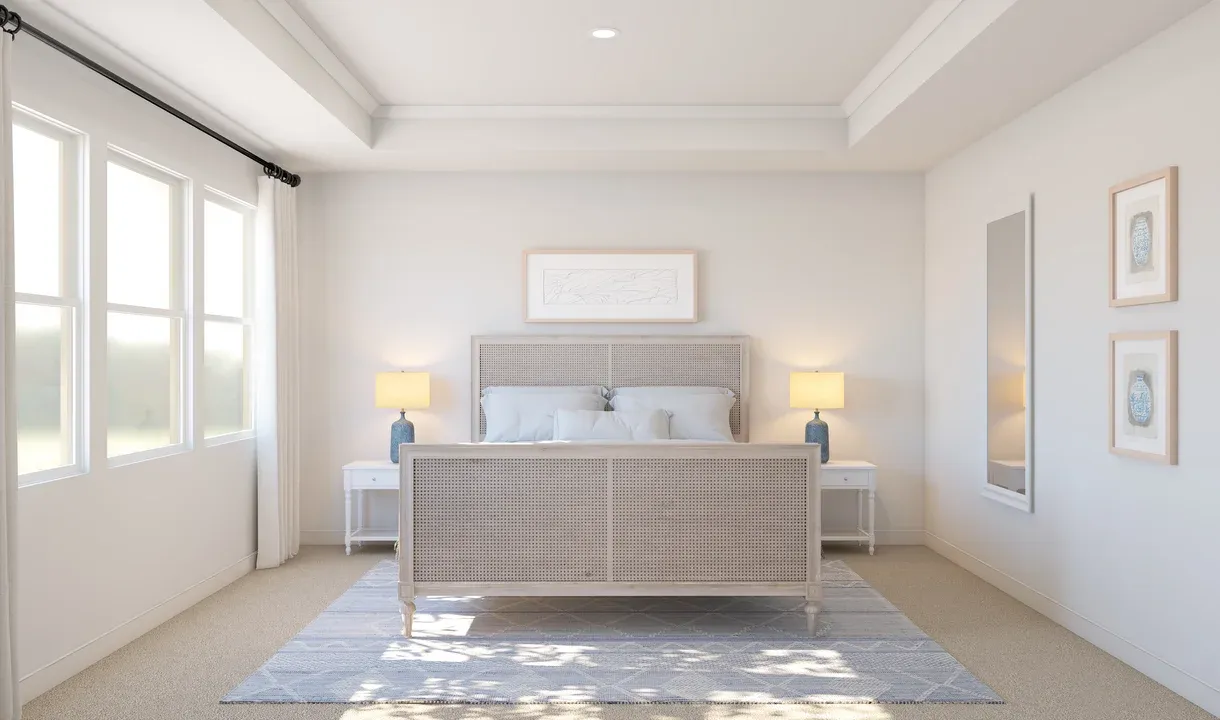 Primary suite featuring tray ceiling