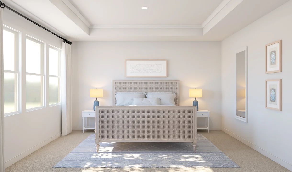 Primary suite featuring tray ceiling